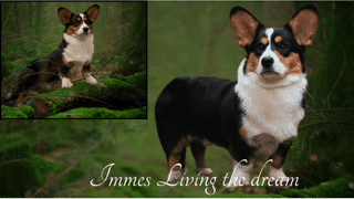 Imme’s Living The Dream